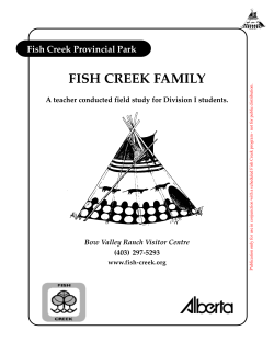 Fish Creek Family
