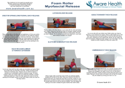 erector spinae/longitudinal back release back