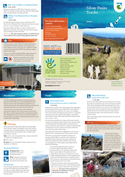 Silver Peaks tracks brochure