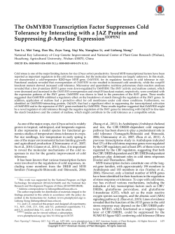 The OsMYB30 Transcription Factor Suppresses