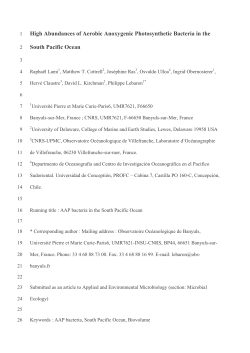 High Abundances of Aerobic Anoxygenic Photosynthetic Bacteria in