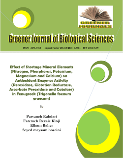 Effect of Shortage Mineral Elements (Nitrogen, Phosphorus