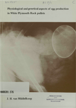 Physiological and genetical aspects of egg production in White