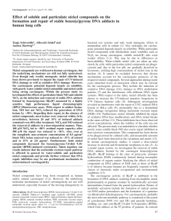 Effect of soluble and particulate nickel compounds on the formation