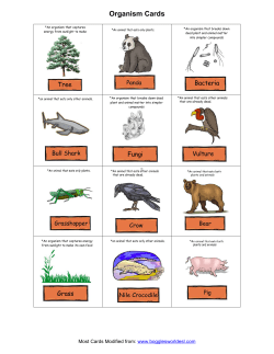 Organism Cards