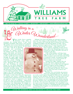 2012 Christmas Newsletter