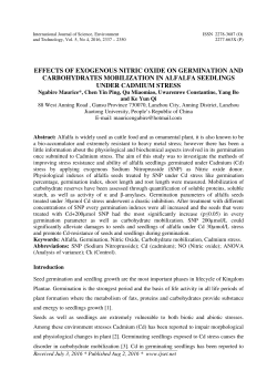 effects of exogenous nitric oxide on germination and carbohydrates