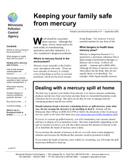 Keeping your family safe from mercury