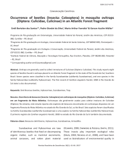 Occurrence of beetles (Insecta: Coleoptera) in mosquito ovitraps