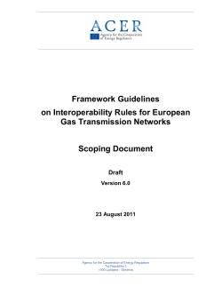 Framework Guidelines on Interoperability Rules for