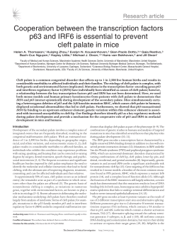 Cooperation between the transcription factors p63 and IRF6 is