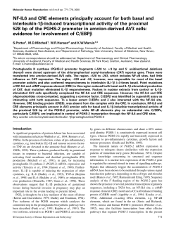 NF-IL6 and CRE elements principally account for both basal and