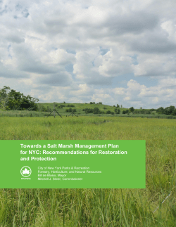 NYC Parks: "Towards a Salt Marsh Management Plan for NYC