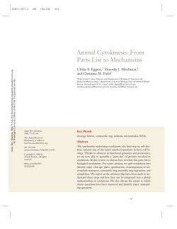 ANIMAL CYTOKINESIS: From Parts List to Mechanisms