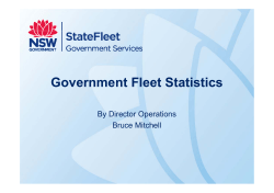 Government Fleet Statistics