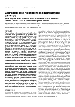 Connected gene neighborhoods in prokaryotic