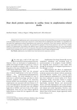 Heat shock protein expression in cardiac tissue in amphetamine
