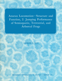 Function, 2: Jumping Performance of