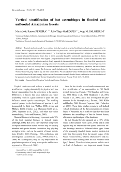 Vertical stratification of bat assemblages in flooded and unflooded
