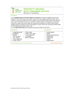 spaghetti squash with cinnamon apples