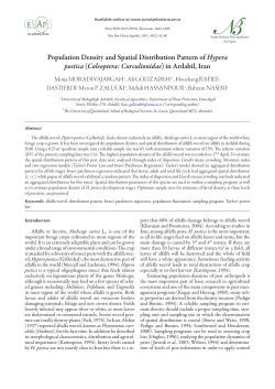 Population Density and Spatial Distribution Pattern of