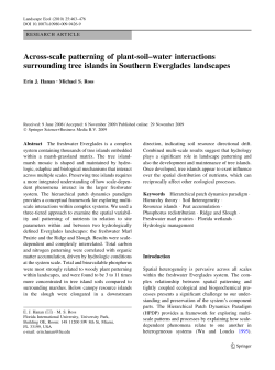 Across-scale patterning of plant-soil&ndash;water interactions surrounding