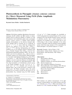 Photosynthesis in Pineapple (Ananas comosus comosus [L.] Merr