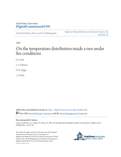 On the temperature distribution inside a tree under fire conditions