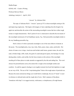 2010 Analysis of Adrienne Rich`s -Amends- Poem