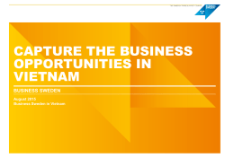 capture the business opportunities in vietnam