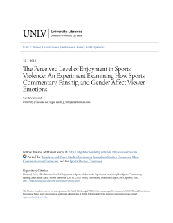 The Perceived Level of Enjoyment in Sports Violence