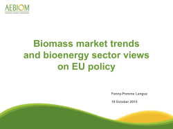 Biomass market trends and bioenergy sector views on EU policy