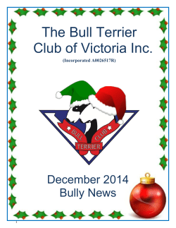 The Bull Terrier