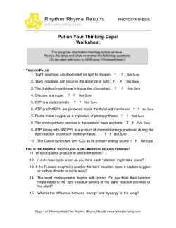 Put on Your Thinking Caps! Worksheet