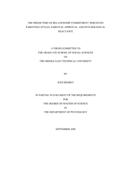 i THE PREDICTORS OF RELATIONSHIP COMMITMENT