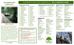 Brochure - Williamson Park
