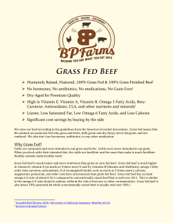 BP Farms Beef - BP Engineering