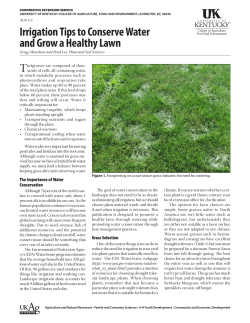 AGR-115: Irrigation Tips to Conserve Water and Grow a Healthy Lawn