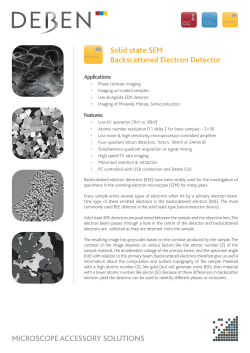 SEM Backscatter Electron Detector