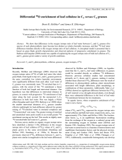 Differential 18O enrichment of leaf cellulose in C