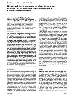 Nuclear and chloroplast mutations affect the