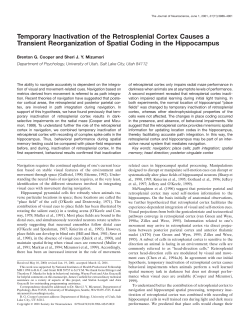 Temporary Inactivation of the Retrosplenial Cortex Causes a