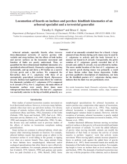 Locomotion of lizards on inclines and perches