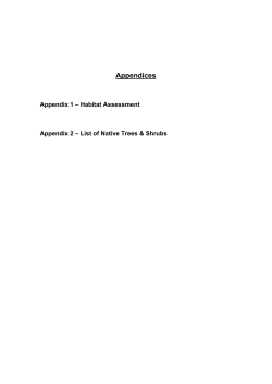 the Fiddown Local Area Plan 2011 Appendices