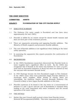 THE CHIEF EXECUTIVE COMMITTEE: ASSETS