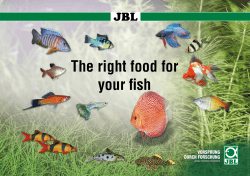 The right food for your fish