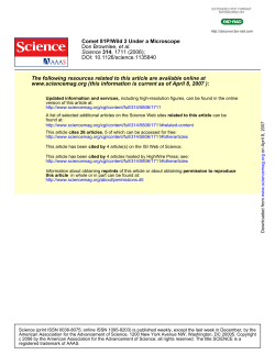 Comet 81P/Wild 2 Under a Microscope