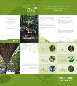 Redwood Park Tree Guide
