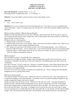 FABULOUS FELINES LESSON 4: Grades K