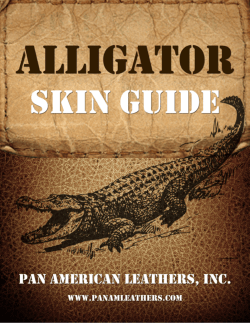 Thanks Again! - Pan American Leathers